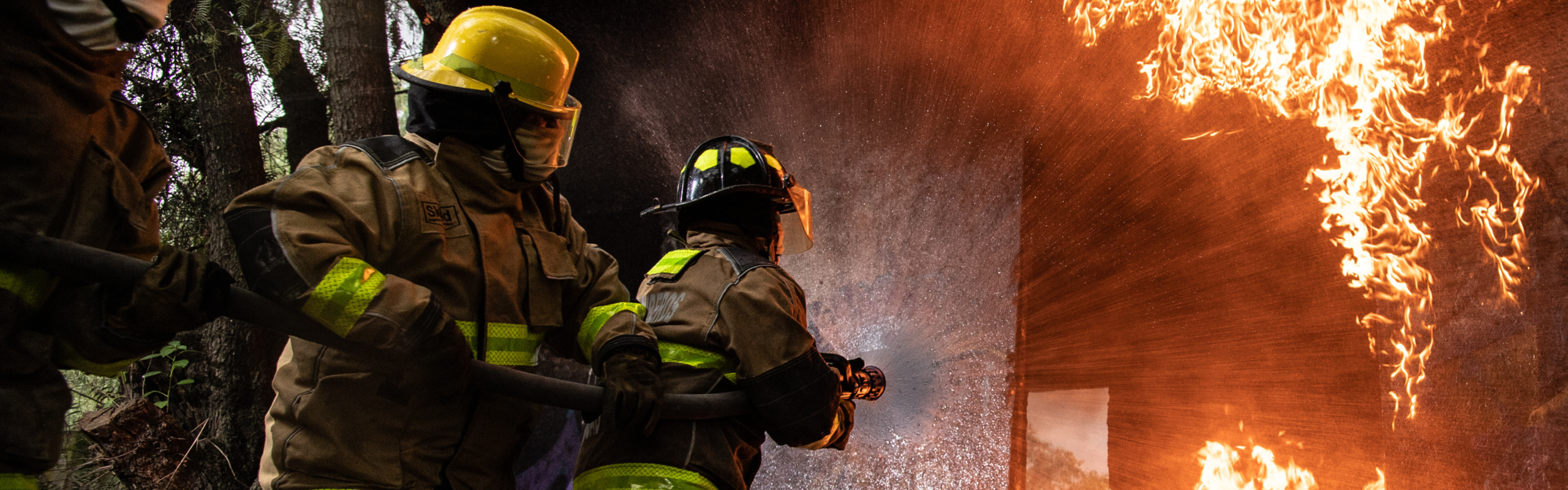 Fire Protections Districts