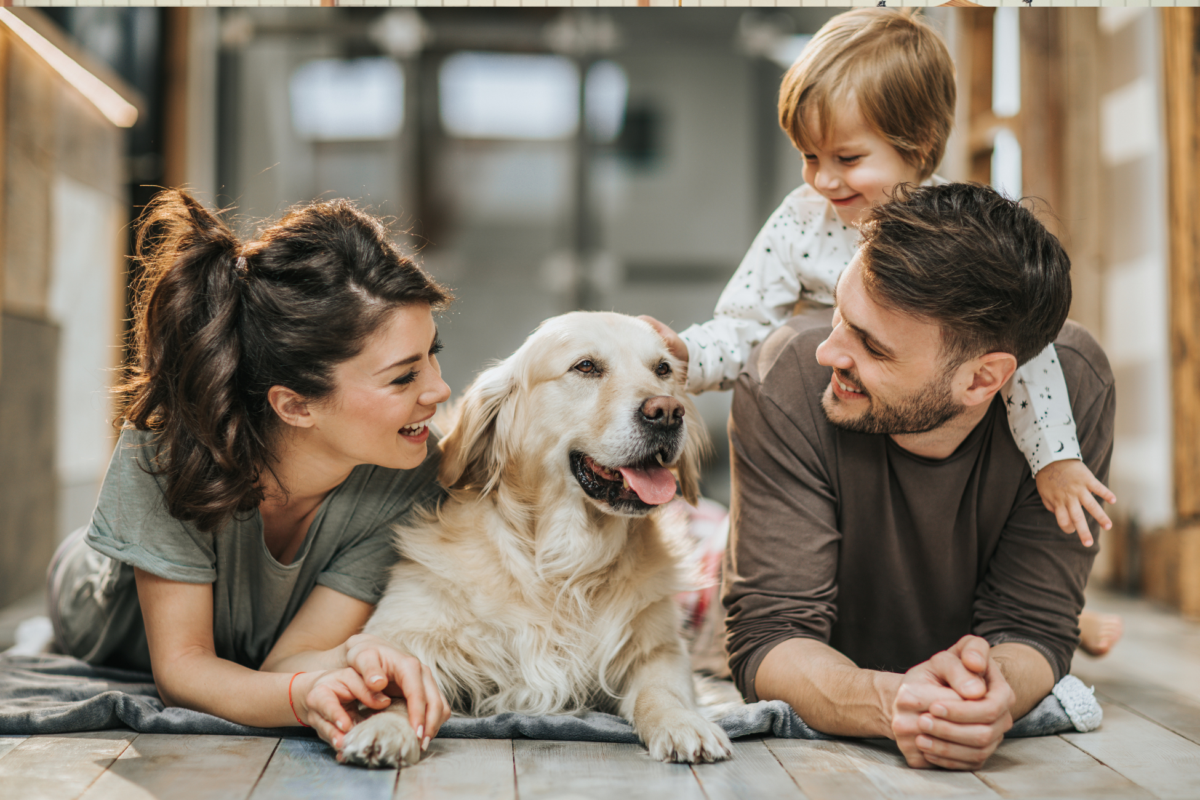 Personal Insurance