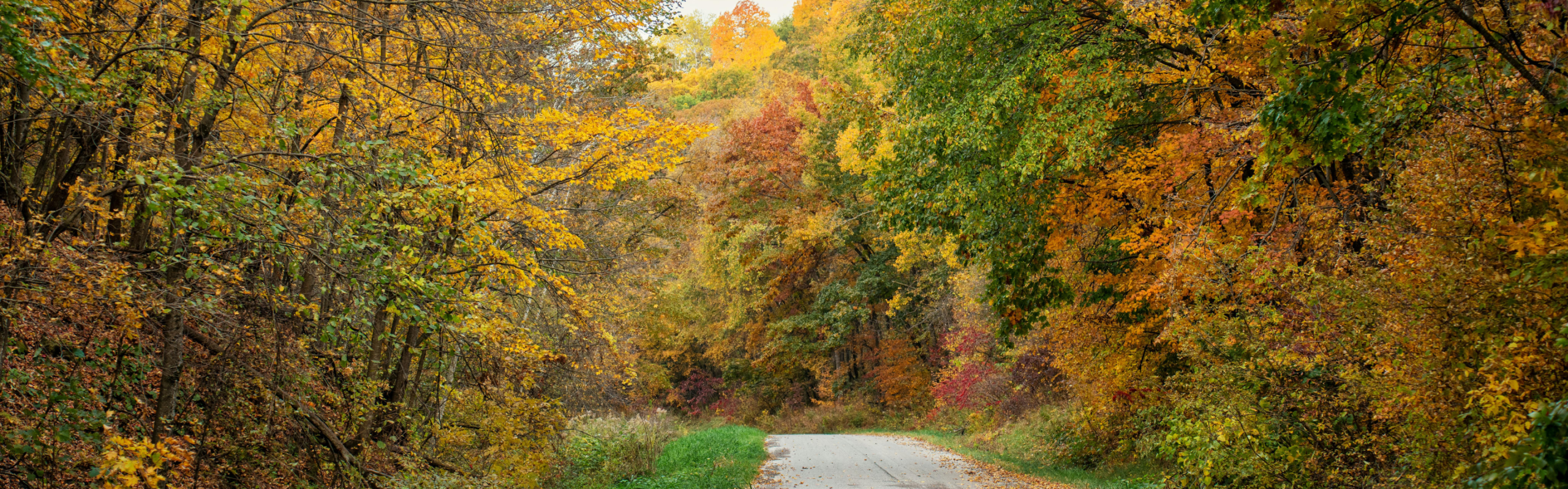 Fall in Northern Wisconsin 