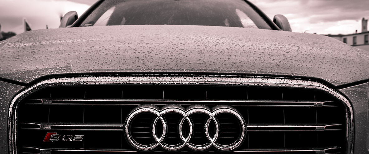 Front grill and hood of a sports sedan.