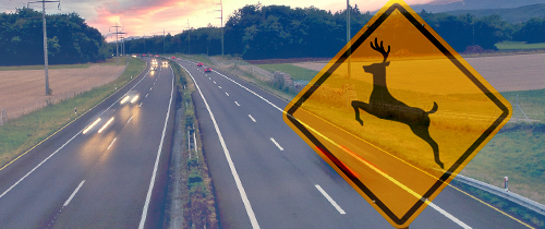 Deer crossing sign