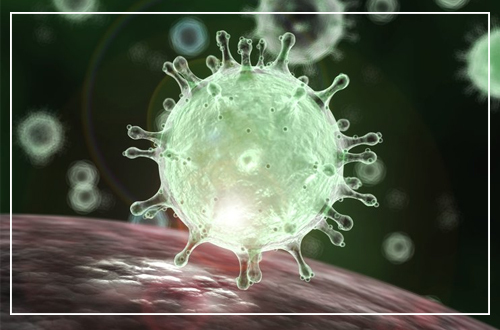 Coronavirus graphic