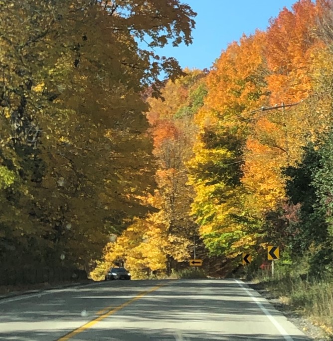 Shelly Mueller Robertson Ryan Insurance