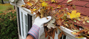 Fall Home Maintenance